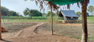 Kalinjar Permaculture Farm - 5