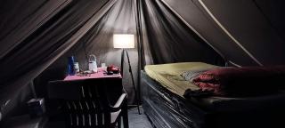 Kalinjar Permaculture Farm - 4