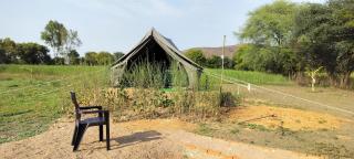 Kalinjar Permaculture Farm - 2