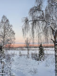 Modern Home Under the Northern Lights - 1