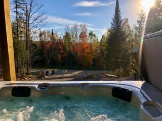 Delarose Cottage, Ski, Spa, pool table & starry night - 7