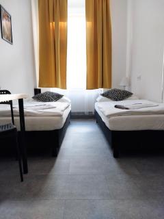 B2 Dvoulůžkový pokoj centrum Prahy - Praga - 1