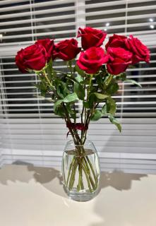 Elegant & Sophisticated Retreat near Loughborough - 8