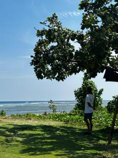 Lawi Haven Homestay - 6