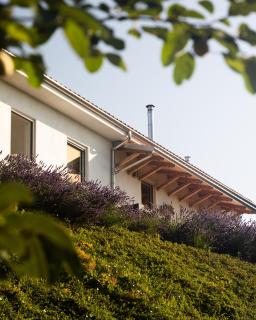 Guest House Ferri e Zani - 4