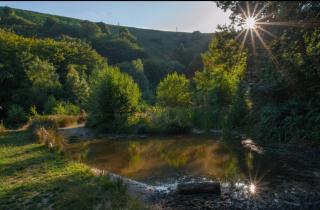 Primrose cottage - Upper cwmbran - 3