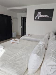 Hotel Sharlota - Skopje - 4