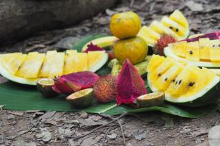 Mawas Guest House Only Book Trekking With Us - 2