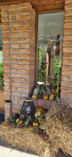 Rustic Dreams-Dobolii de Sus - 9