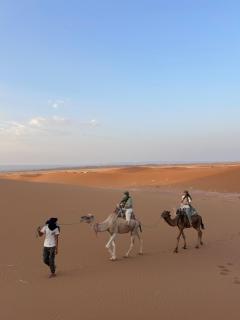 Desert tours&trips - 1