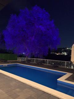 Vila Lara Zvornik - 7