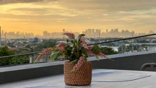 Cozy Nest Fully-furnished apartment with Manila Skyline View Rooftop - 3