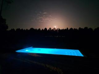 Calme et paisible maison au milieu de la foret - 3