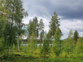 Villa kuukkeli paritalossa - 1