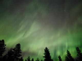 Villa kuukkeli paritalossa - 2