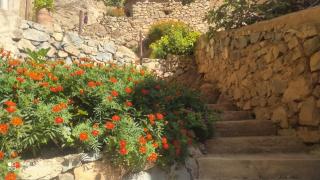 Adrar View Lodge - 2