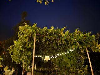 Baba's House - Raška - 7