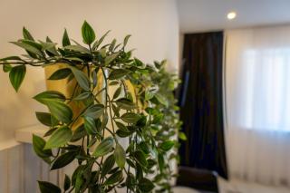 Studio City View - 2