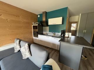 Chalet cosy au pied des pistes avec parking privé - FR-1-787-114 - 0