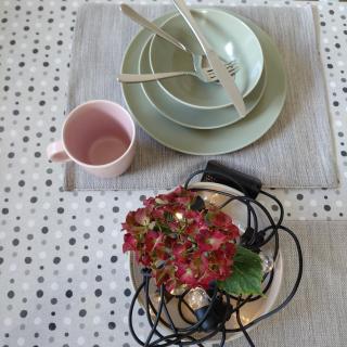 Pr DOLENC - Petrovče - 2