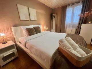 The Chalet - in the heart of Metz - 7