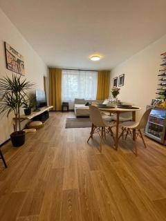 Apartmán Dobrovského - 4