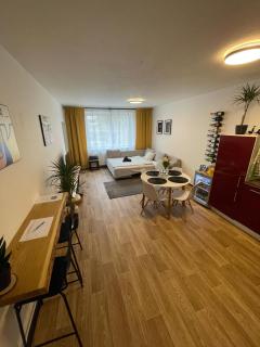 Apartmán Dobrovského - 3