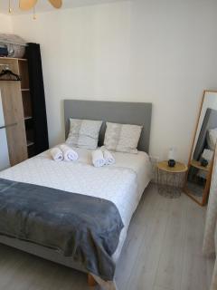 Centre historique Commerces et Plages 2 minutes tout à pieds - 1