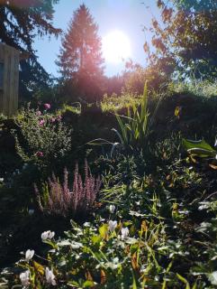 À fleur de source - 2