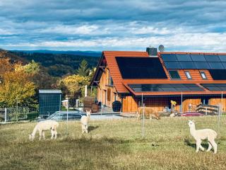TOP moderne FeWo - Alpakahof zum Himmelreich, traumhafte Lage, Terrasse mit Weitblick, kostenfreier Parkplatz, Nähe Kurklinik, optional Sauna - 9