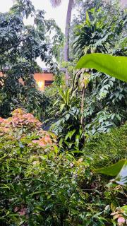 Sigiri Liya Rest - 2