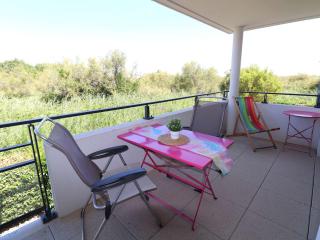 Superbe P2 cabine neuf, parking sécurisé, terrasse, au calme - 4 pers, animaux admis - FR-1-307-190 - 0