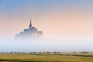 Séjournez avec le Mont-Saint-Michel en toile de fond 8 pers - 0