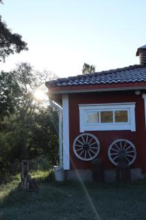 The old henhouse - 3