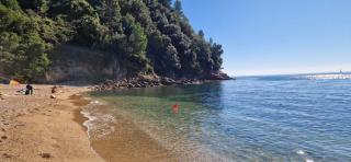 Little Romantic Pitelli - 9