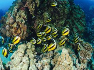 Movenpick Taba Resort & Spa - 3