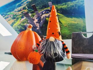 Apartament POD STRZECHĄ - 6