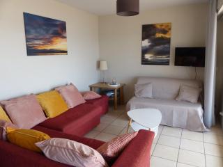 Grand appartement face au lac, vue sur les Pyrénées - 9