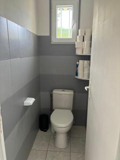 Grande maison familiale à médis 17600 - 5