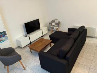 Grande maison familiale à médis 17600 - 1