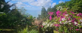 Cocoa Beach Lodge - 1