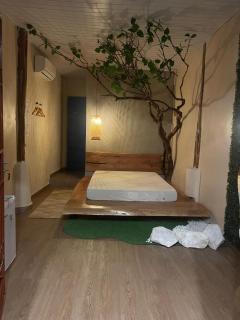 Abraço Verde Complexo Turístico - 9