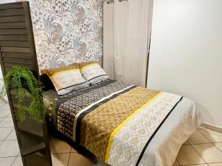 Magnifique appartement - Le Puy en Velay - 6