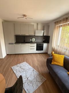 Schönes Appartement Nähe Kurpark - 2