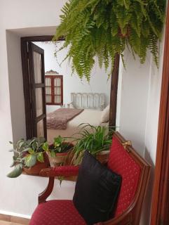 Casa Rural en San Carlos del Valle- Doña Gumersinda - 6