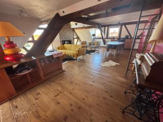 Abricot & Chocolat - 5