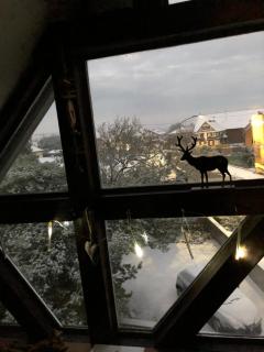 Abricot & Chocolat - 8