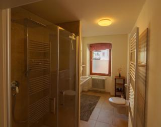 Altes Forsthaus - Fewo "Hasenhorn", mit privater Sauna, Todtnau- Feldberg - 4