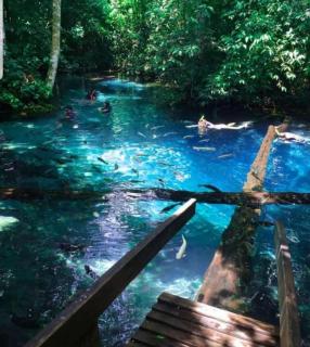 Casa Flor do Ipê Homes - Nobres - 9