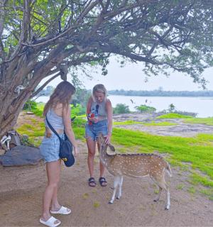 Safari Paradise Udawalawe - 0